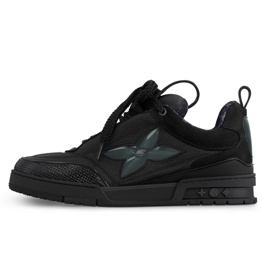 Shoes Skater