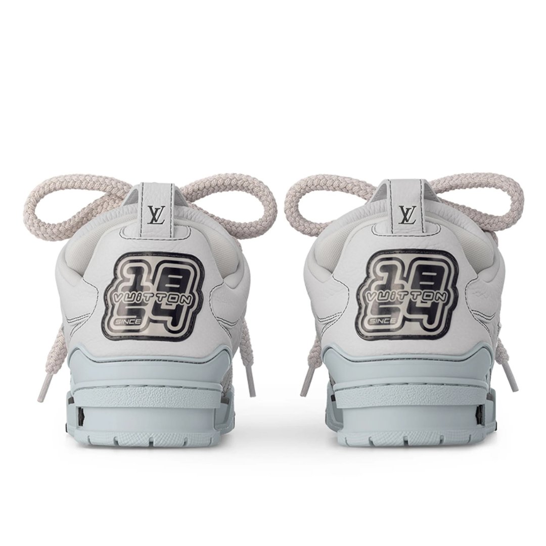 Shoes skater