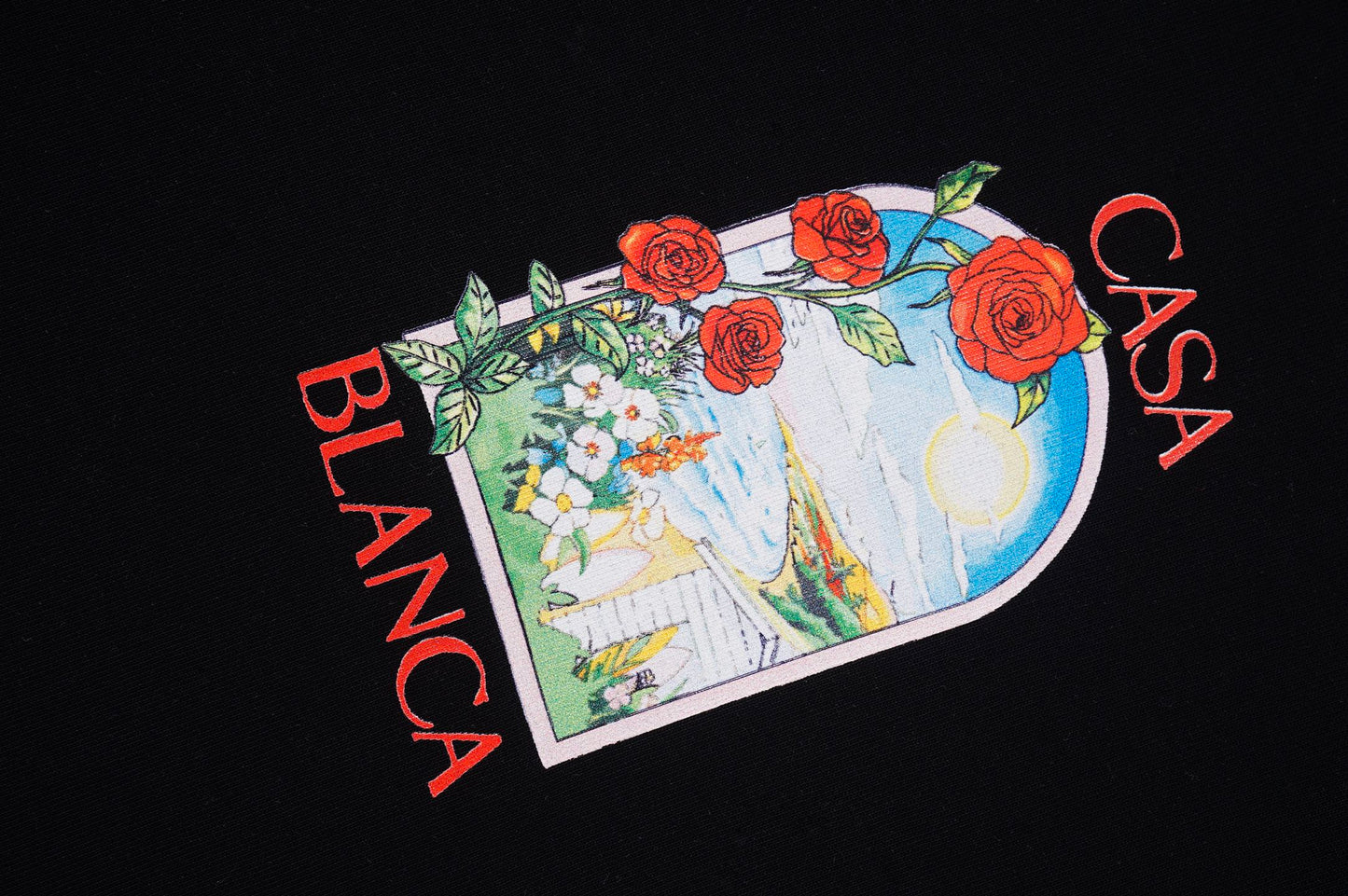C t-shirt
